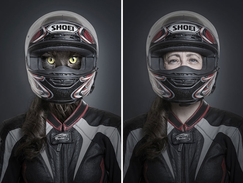 Los gatos y sus dueños: mirada familiar. Los gatos y sus dueños: mirada familiar.