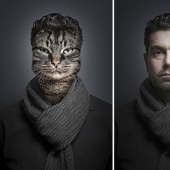 Los gatos y sus dueños: mirada familiar.