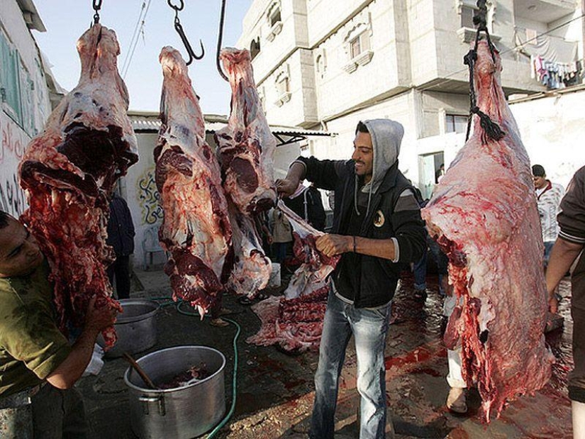 Los hechos más importantes sobre las vacaciones de Kurban-Bayram Los hechos más importantes sobre las vacaciones de Kurban-Bayram