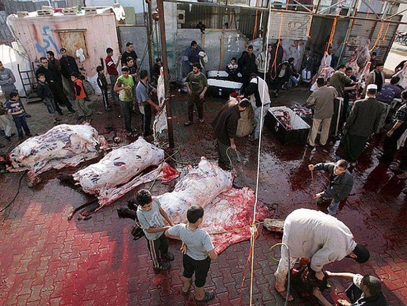 Los hechos más importantes sobre las vacaciones de Kurban-Bayram Los hechos más importantes sobre las vacaciones de Kurban-Bayram