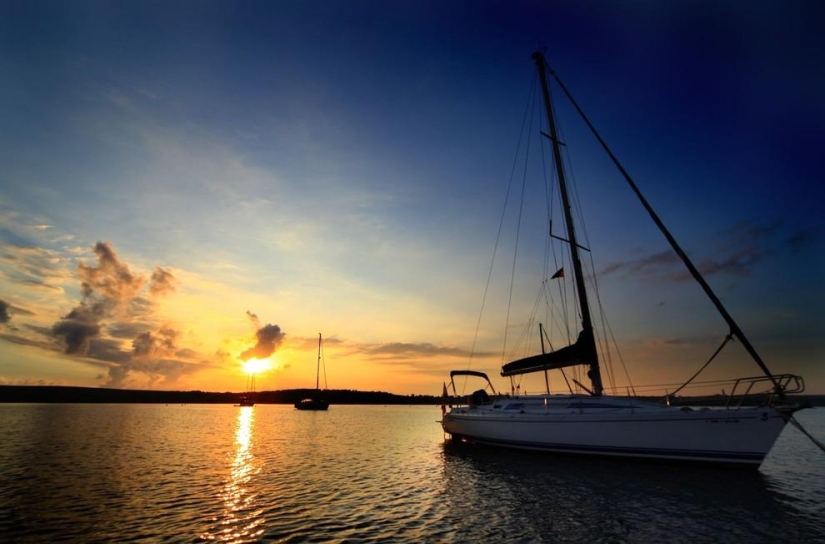 Los impuestos más increíbles