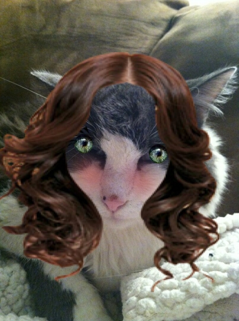 Los japoneses hacen coños glamorosos con sus mascotas