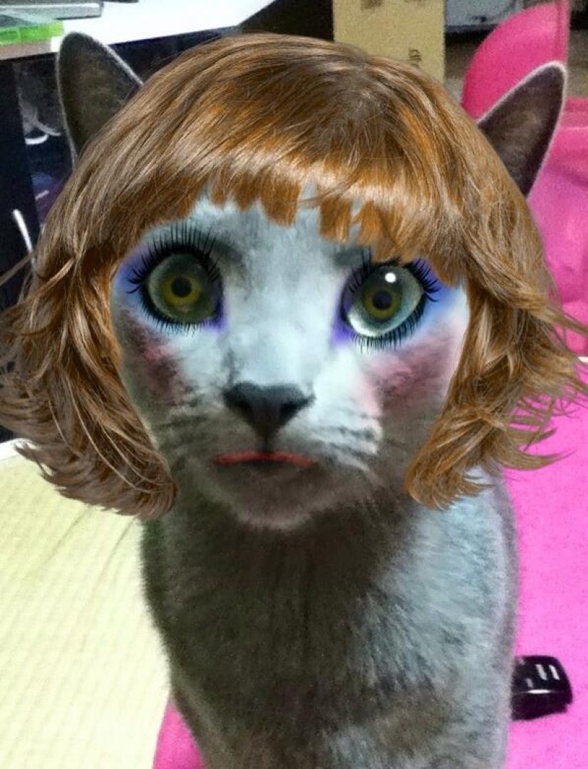 Los japoneses hacen coños glamorosos con sus mascotas