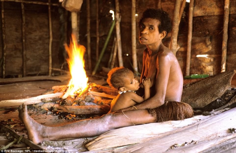 Los Korowai son una misteriosa tribu de caníbales que recientemente han aprendido sobre la civilización