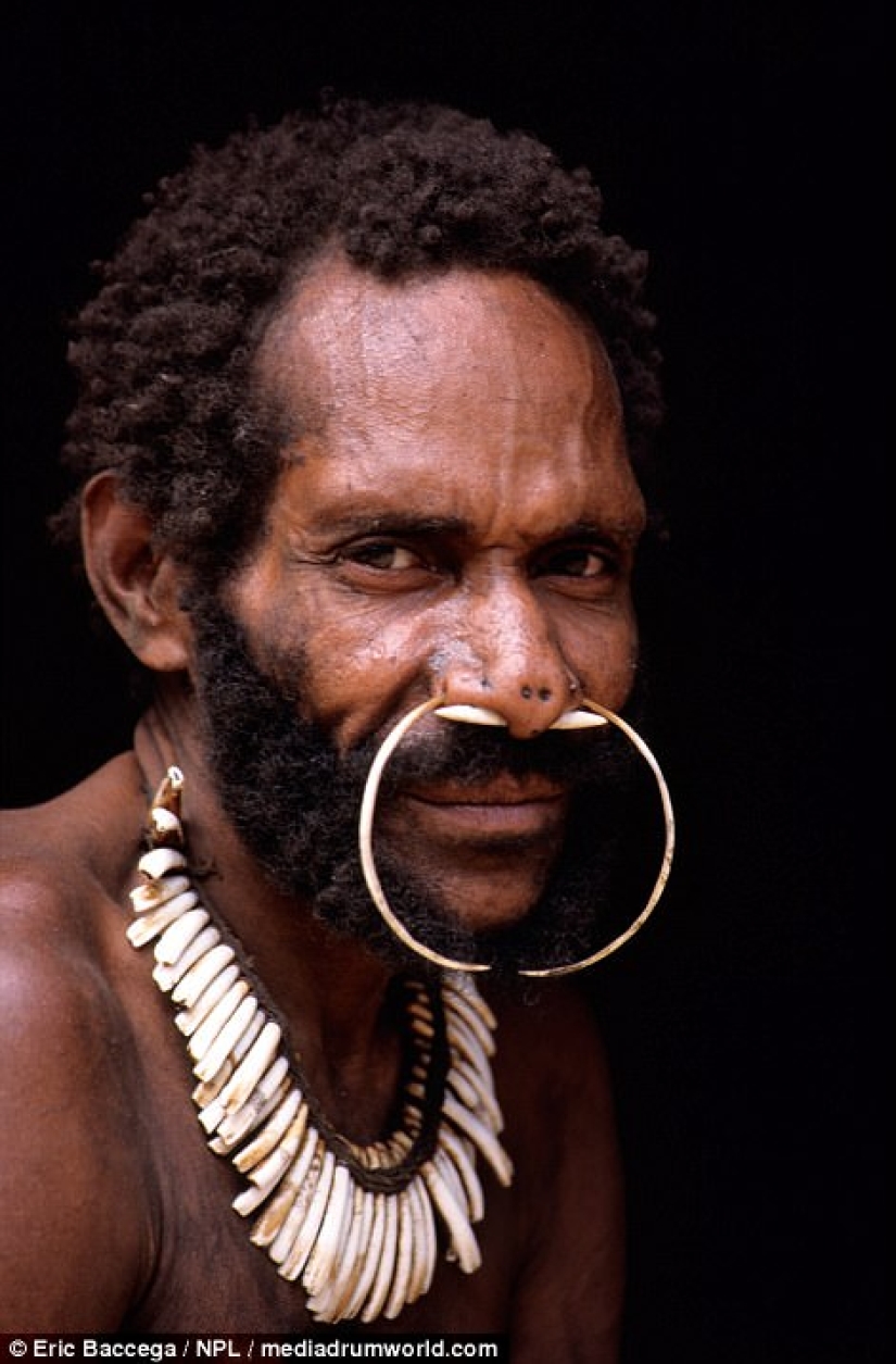 Los Korowai son una misteriosa tribu de caníbales que recientemente han aprendido sobre la civilización