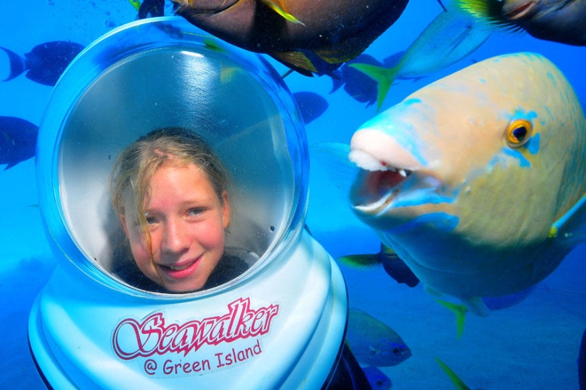 Los mejores photobombs de 2013 Los mejores photobombs de 2013