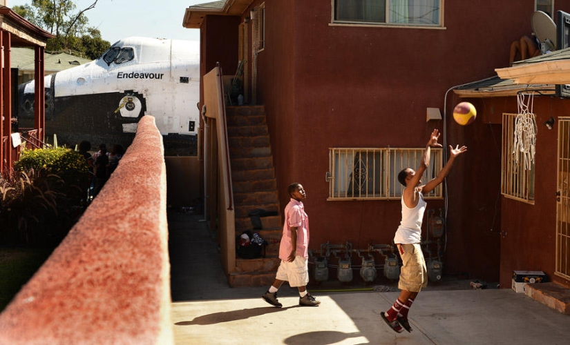 Los mejores photobombs de 2013 Los mejores photobombs de 2013