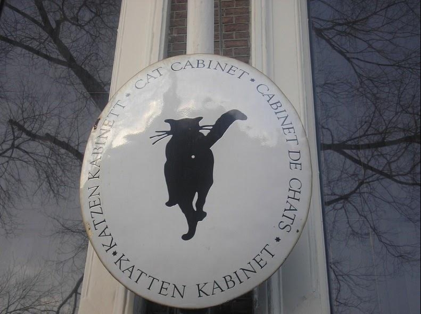 Los museos más insólitos de Ámsterdam