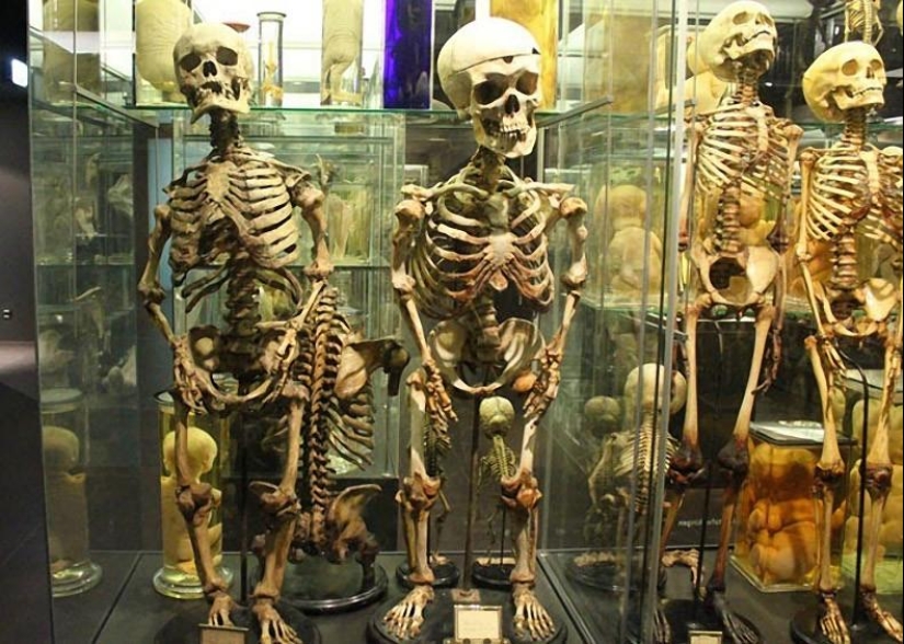 Los museos más insólitos de Ámsterdam