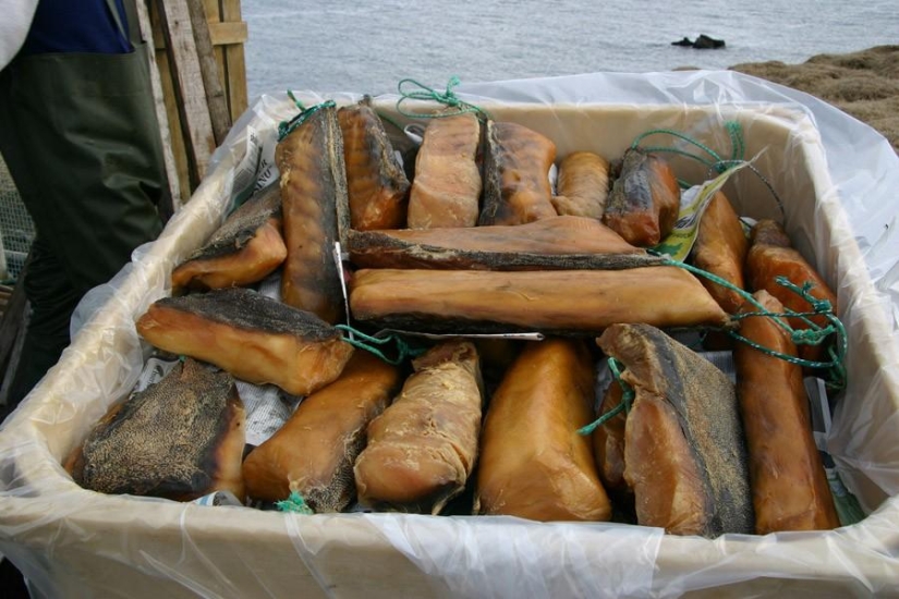 Los platos más terribles. Los platos más terribles.