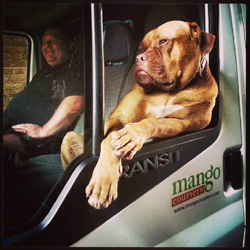 Los premios Mobile Photography Awards han anunciado sus mejores fotografías de todos los tiempos, y aquí están las 14