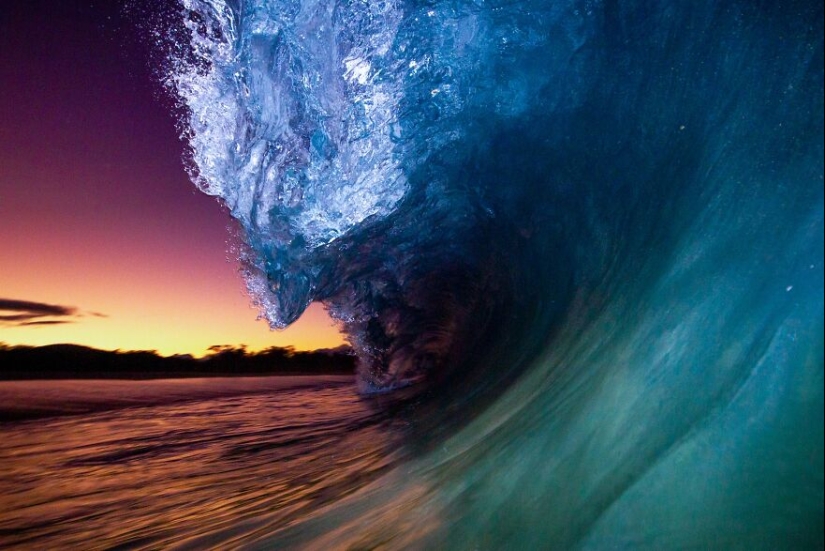 Los Premios Internacionales de Fotografía 2023 han revelado las imágenes de naturaleza ganadoras