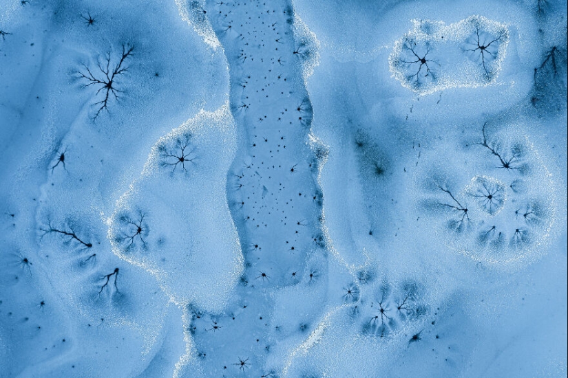 Los Premios Internacionales de Fotografía 2023 han revelado las imágenes de naturaleza ganadoras