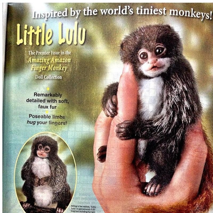 Los productos más tontos en las tiendas libres de impuestos estadounidenses