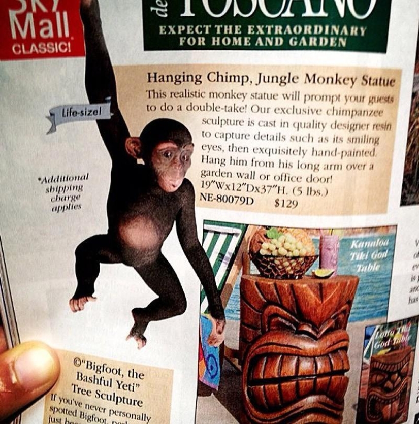 Los productos más tontos en las tiendas libres de impuestos estadounidenses