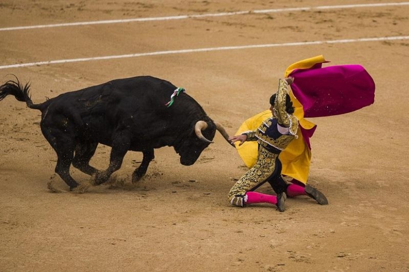 Los toros españoles obtienen una victoria histórica Los toros españoles obtienen una victoria histórica