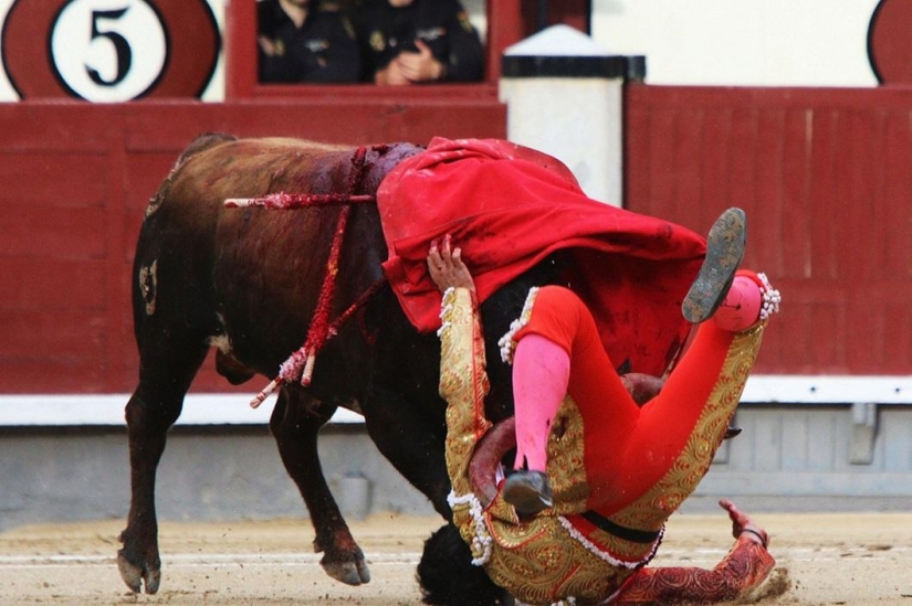 Los toros españoles obtienen una victoria histórica Los toros españoles obtienen una victoria histórica