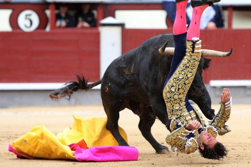 Los toros españoles obtienen una victoria histórica Los toros españoles obtienen una victoria histórica