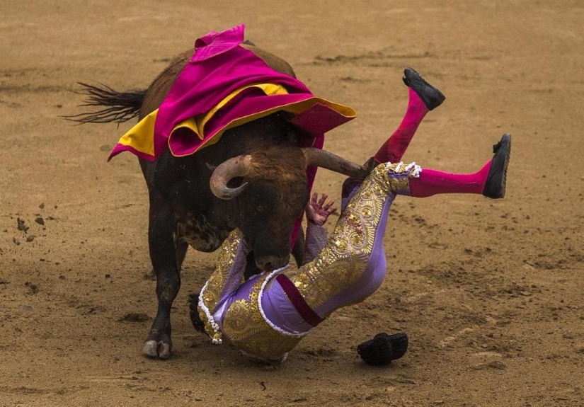 Los toros españoles obtienen una victoria histórica Los toros españoles obtienen una victoria histórica