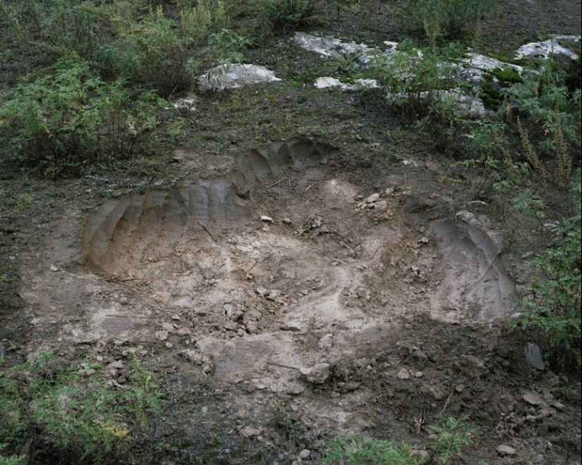 Lost in life Lost in life