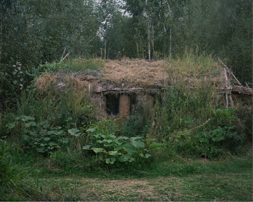 Lost in life Lost in life