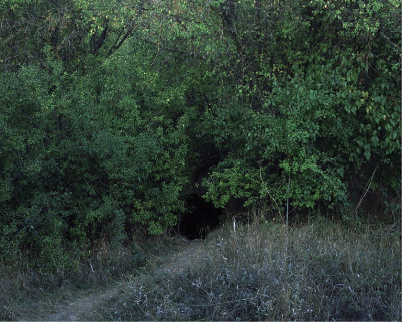 Lost in life Lost in life