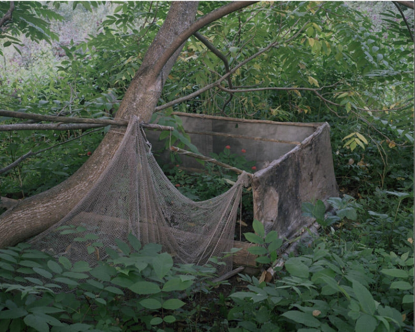 Lost in life Lost in life