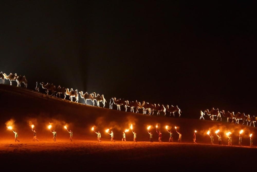 Loto en el desierto de Xiangshawan Loto en el desierto de Xiangshawan