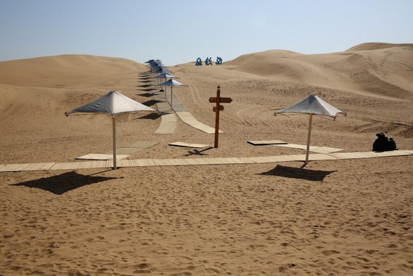 Loto en el desierto de Xiangshawan Loto en el desierto de Xiangshawan