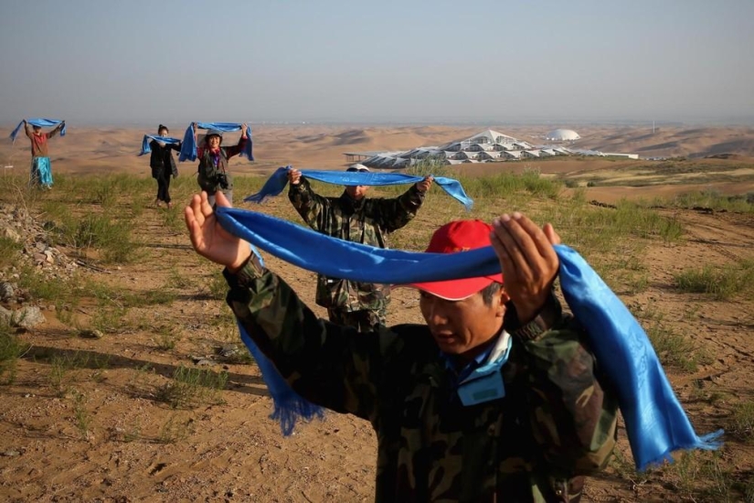 Lotus in the Xiangshawan Desert Lotus in the Xiangshawan Desert