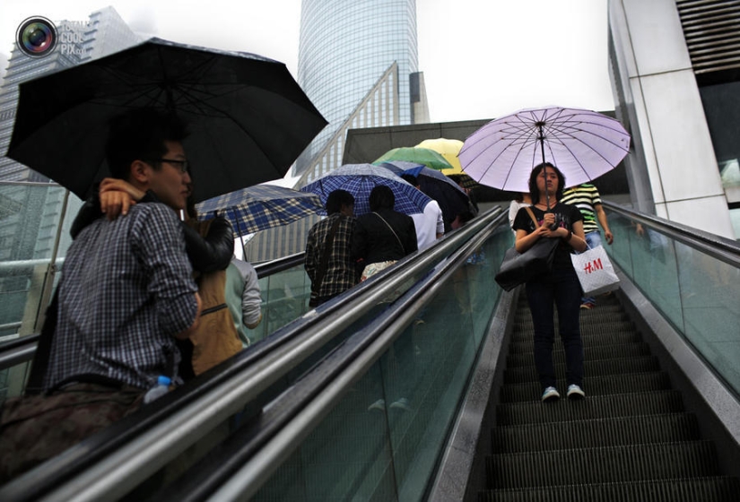 Love in China Love in China