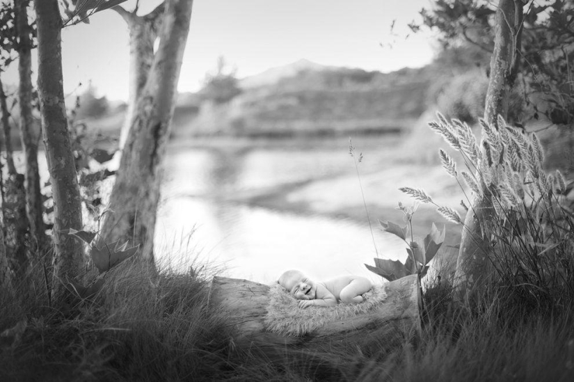 Lovely baby photos by Carrie Sandoval Lovely baby photos by Carrie Sandoval