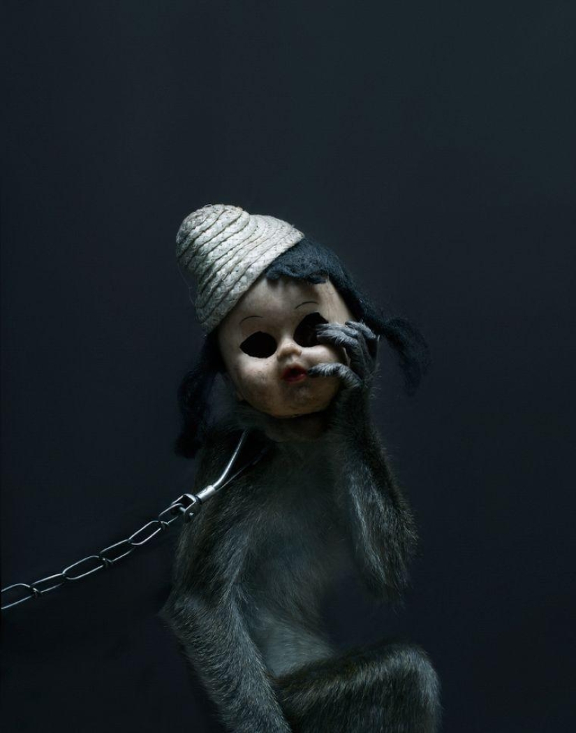 Macacos con máscaras: una vista espeluznante Macacos con máscaras: una vista espeluznante