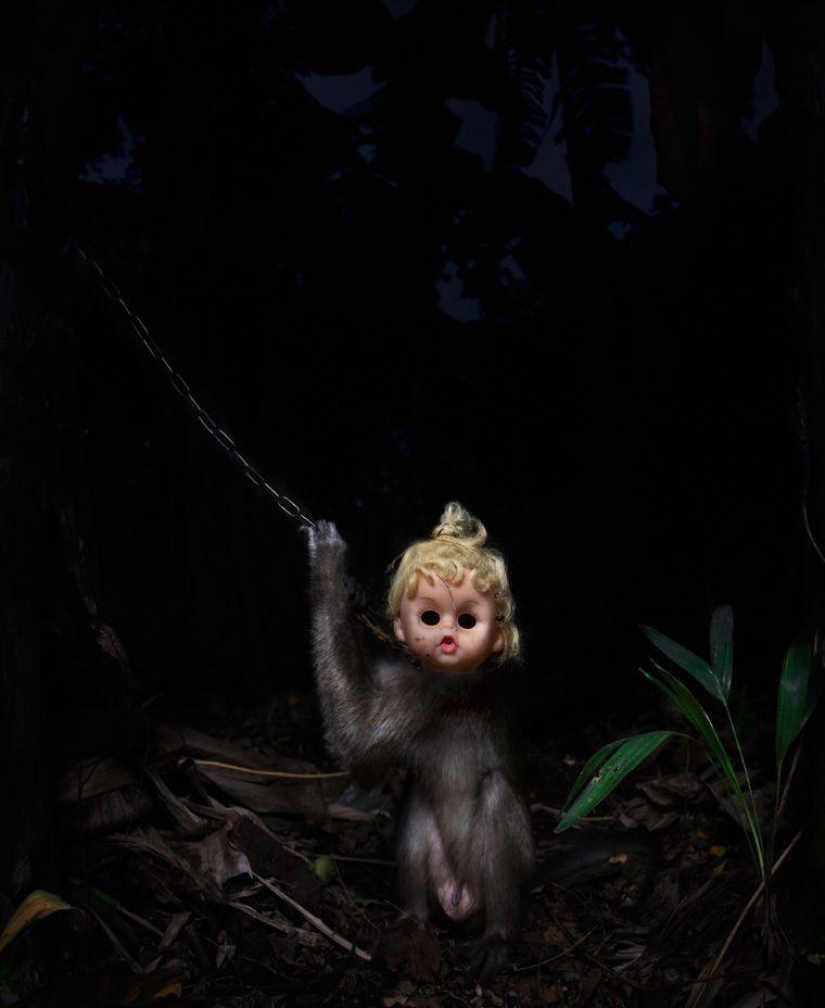 Macacos con máscaras: una vista espeluznante Macacos con máscaras: una vista espeluznante