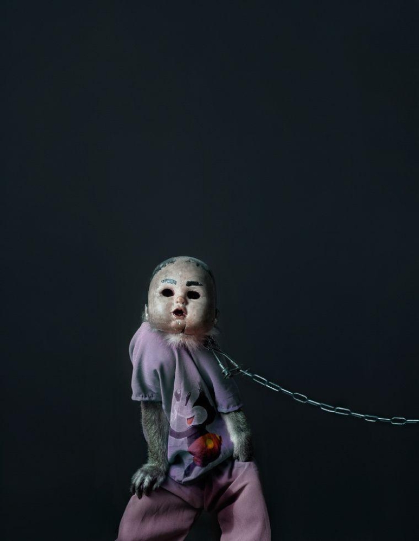 Macaques in masks - an eerie sight Macaques in masks - an eerie sight