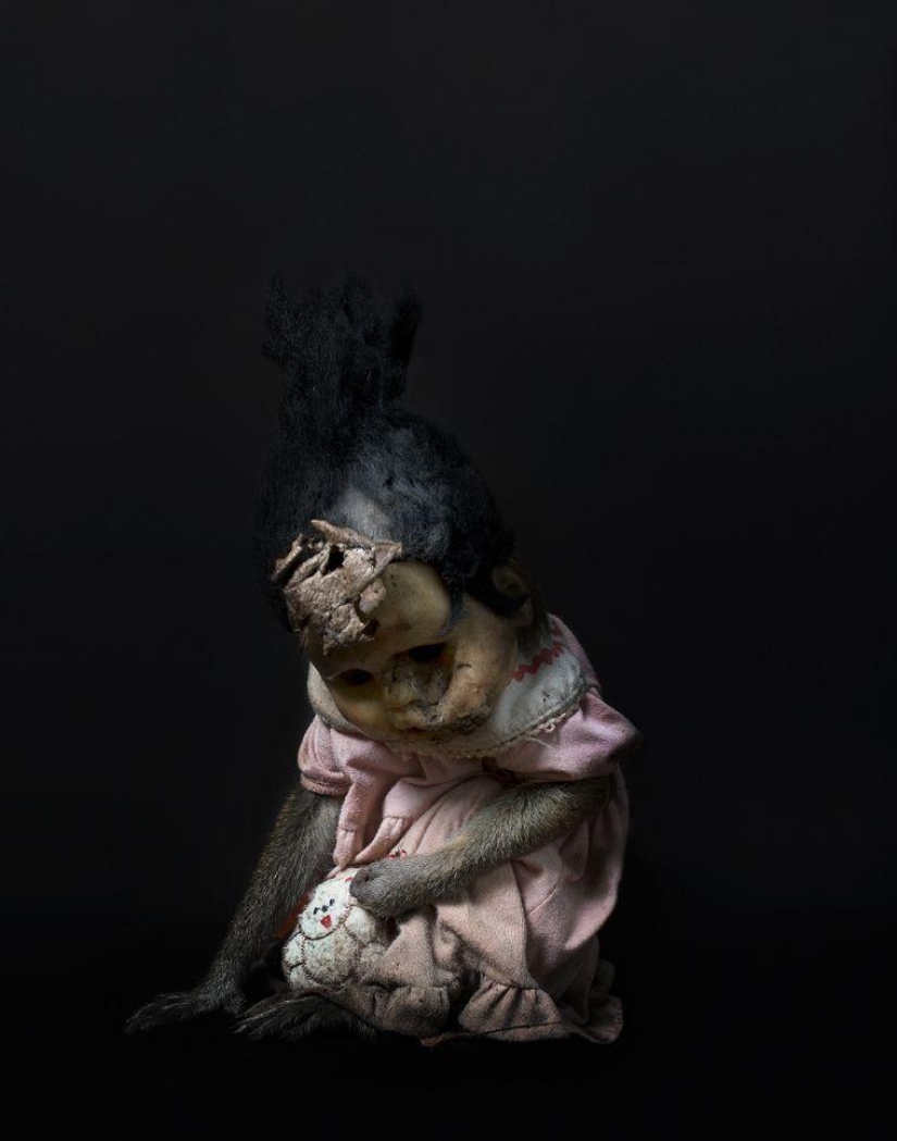 Macaques in masks - an eerie sight Macaques in masks - an eerie sight