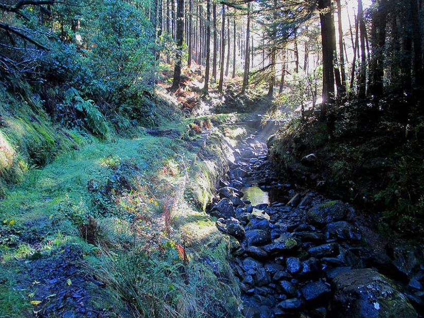 Madeira. Caminar de Santana a Funchal Madeira. Caminar de Santana a Funchal