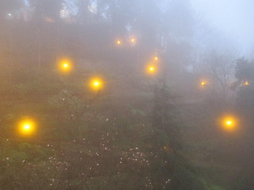 Madeira. Walk from Santana to Funchal Madeira. Walk from Santana to Funchal