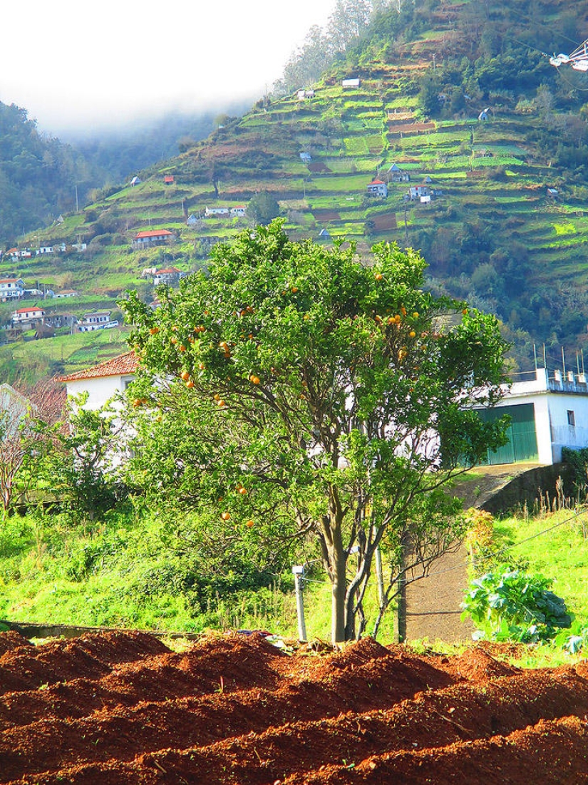 Madeira. Walk from Santana to Funchal Madeira. Walk from Santana to Funchal