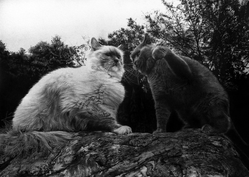 Maestro del dibujo a lápiz - Paul Lang