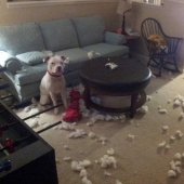 Maestro, sí, no tengo nada que ver con eso en absoluto.