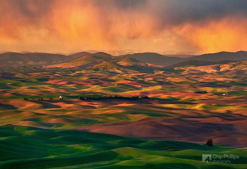 Magic Landscapes by Chip Phillips