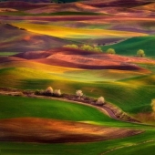 Magic Landscapes by Chip Phillips