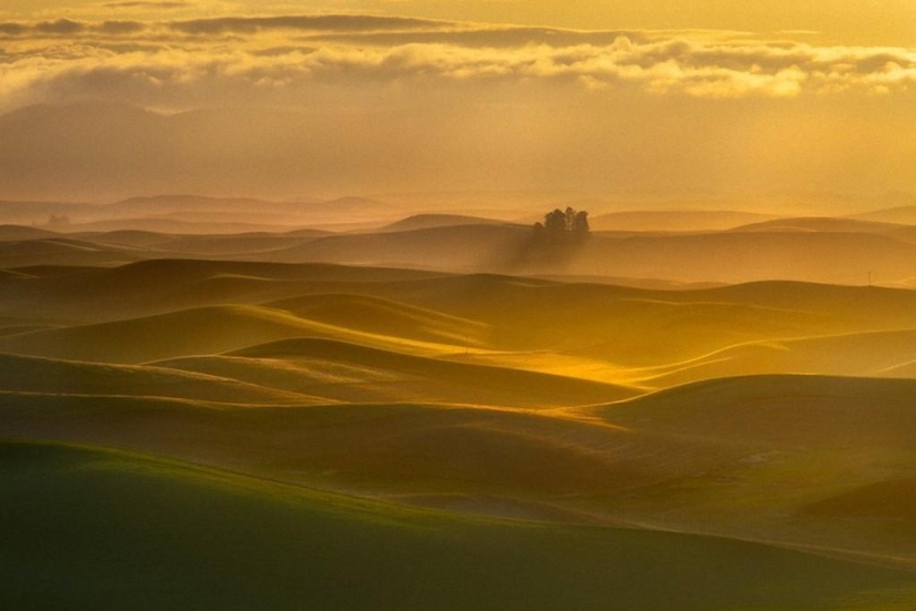 Magic Landscapes by Chip Phillips