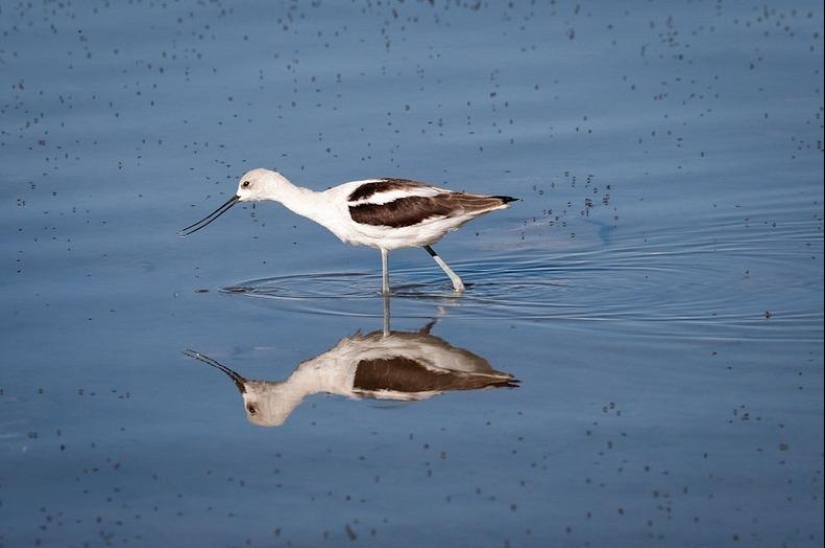 Magic Towers of Mono Lake Magic Towers of Mono Lake