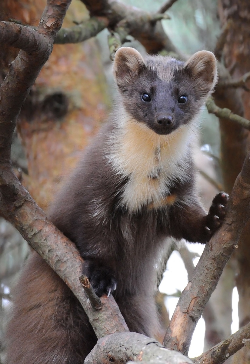 Magical Scotland at different times of the year Magical Scotland at different times of the year