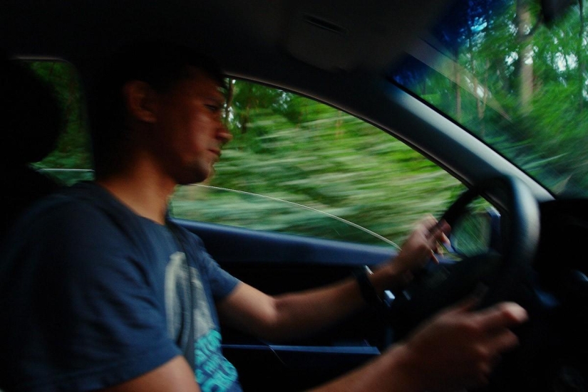 Magpies. The capital of the Gypsy People's Republic