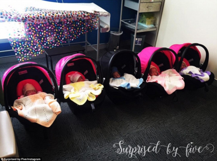 Mamá de adorables quintillizos de Australia compartió su primera sesión de fotos Mamá de adorables quintillizos de Australia compartió su primera sesión de fotos
