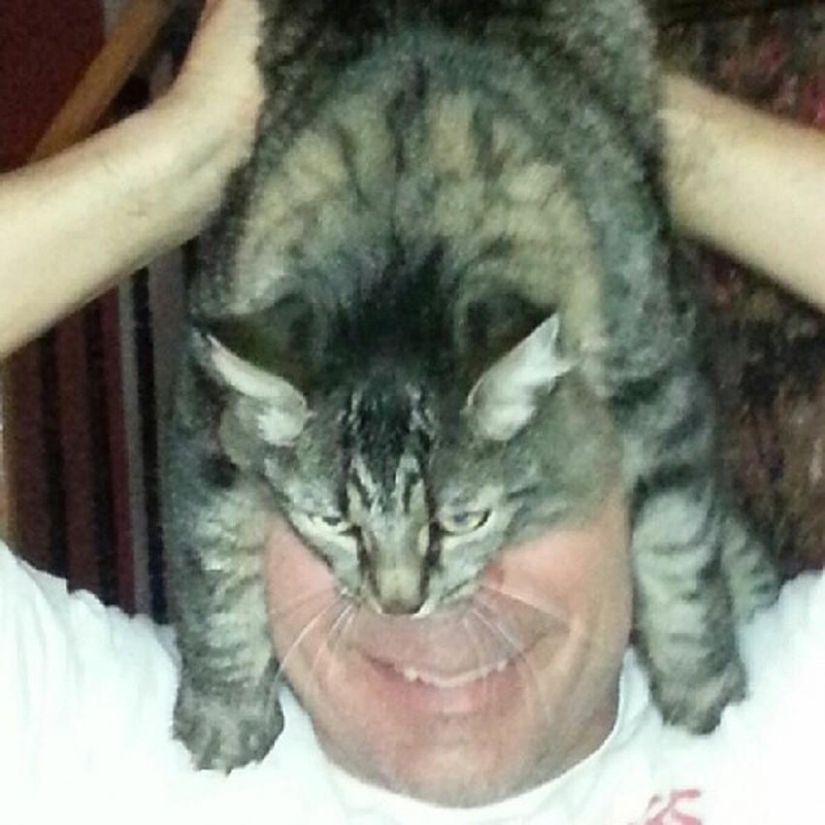 manía catman manía catman