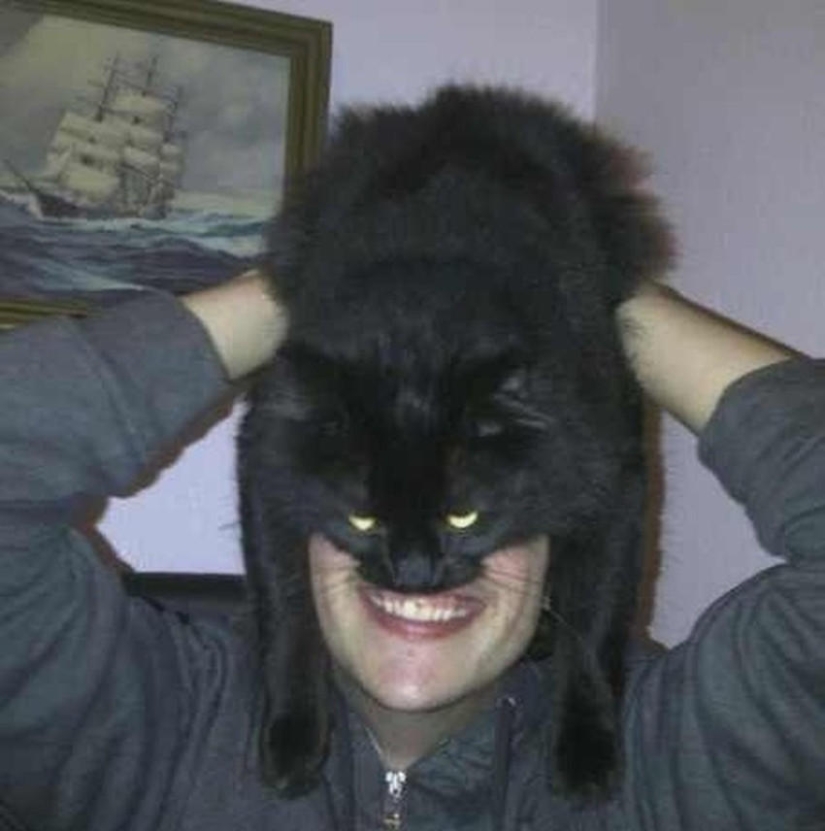 manía catman manía catman